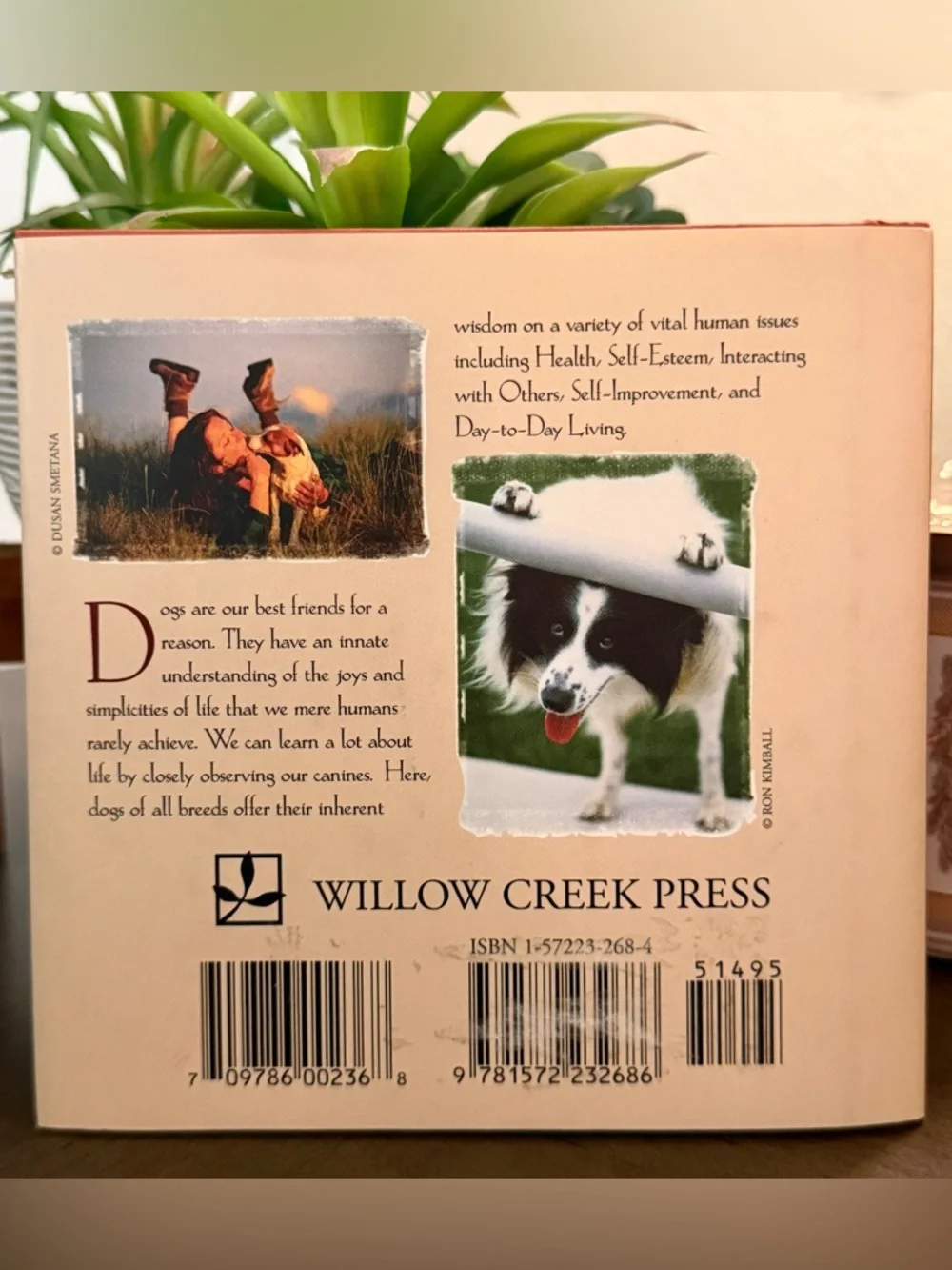 3 Dog Books/Bookmark~Love of Goldens, 101 Uses for a Golden, What Dogs Teach Us